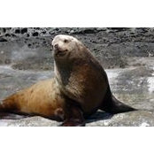 Sandra Stull's photo