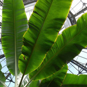 Kerry Steiner's photo