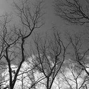 Claudia Marchetti's photo