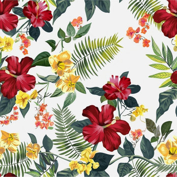 Wallpaper application project Sri Lanka