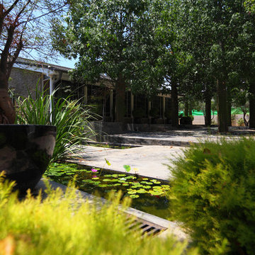 Water Garden