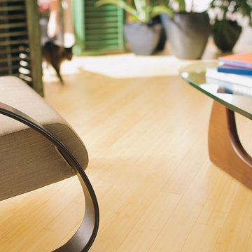 Teragren Bamboo Flooring