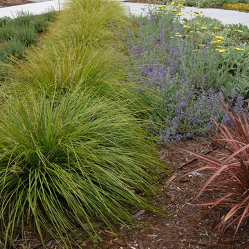 Diagonal front yard plantings