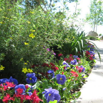 Annual Flower Gardens
