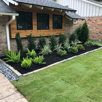 Overhaul in Briar Forest