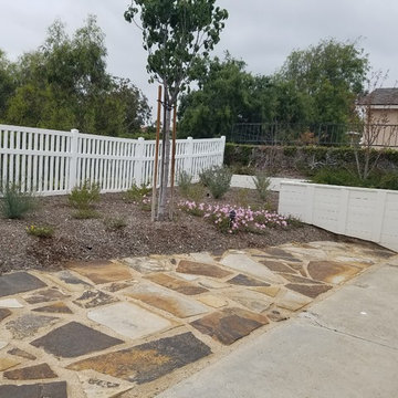 Mission Viejo Back Yard
