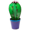 Cactus in Pot with Flower