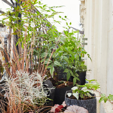 Petit balcon d'hiver