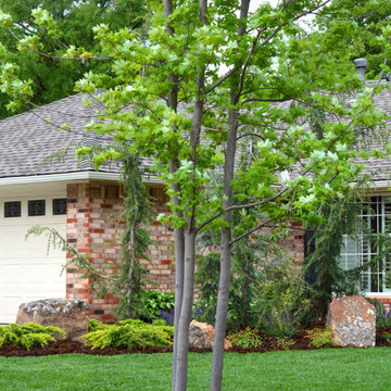 Norman, OK Landscaping Renovation