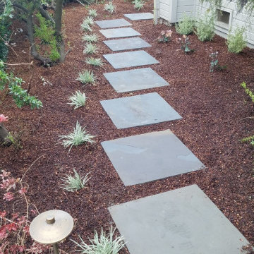 Tiburon Side Garden