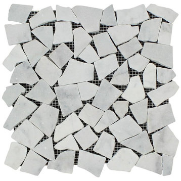 12"x12" Carrara Ferrari Tumbled Marble Random Broken Mosaic, Set of 50