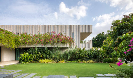 Ahmedabad Houzz: A 1400-Sq-M Bungalow Full of Secret Gardens