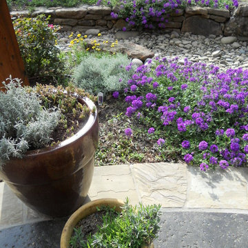 River Rock Garden