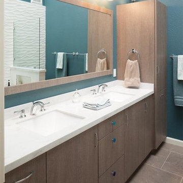 Master and Hall Bathroom Remodels