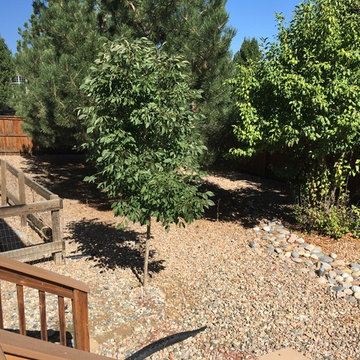 Highlands Ranch Landscape Renovation