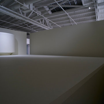 Wattis Institute
