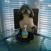 Rhonda Beck's photo