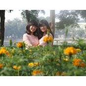 Dao Nga's photo