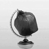 Sara Serag's photo