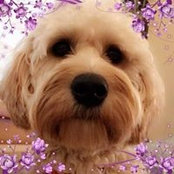 Cathie O'Malley's photo