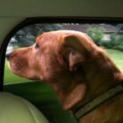 Joanna Kreider's photo