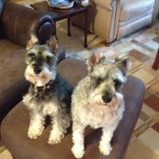 Marilyn Toland's photo