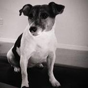 Jacki Hull's photo