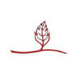 Bright Leaf Landscaping's profile photo