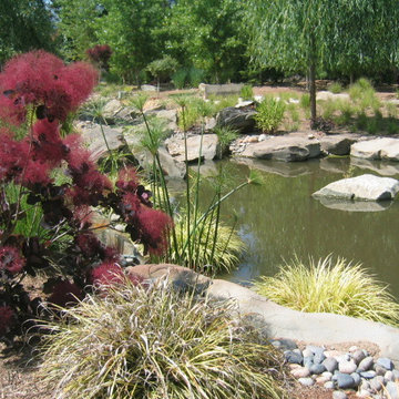 Rainwater Garden