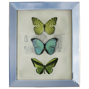 Vanity Mirrored Picture Frame , 16"x20"