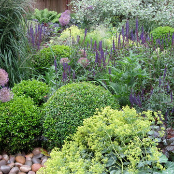 Courtyard garden