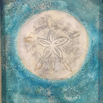 Sand dollar