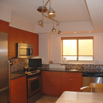 Alexandria small contemporary high rise kitchena