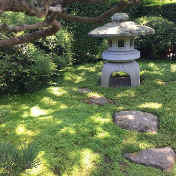 Japanese Garden