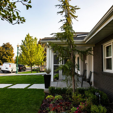 Modern Tree For Front Yard