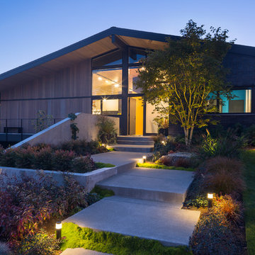 Bellevue Mid-Modern