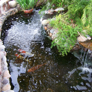 Ponds