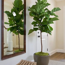 remodel