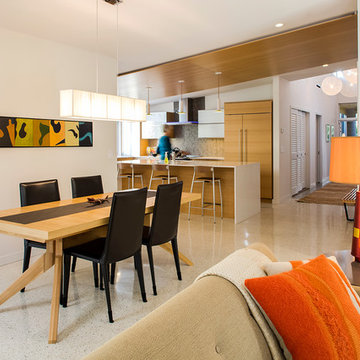 Venice Island Mid-Century Modern