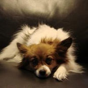 Debbie Mohr's photo
