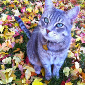 Mary McEnary's photo