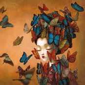 Raluca Piteiuさんの写真