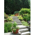 Timothy Sheehan, ASLA's profile photo