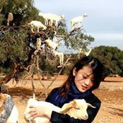 Kate Zhang's photo