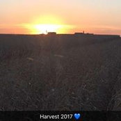 Janel Bretz Beckman's photo
