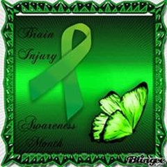 PACIFIC IMAGE BUILDERS INC