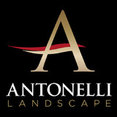 Antonelli Landscape Pool & Spa's profile photo