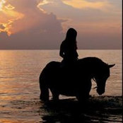 Serena Peruffo's photo