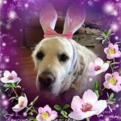 Carla Cogdell's photo