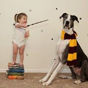 Dena Castor's photo